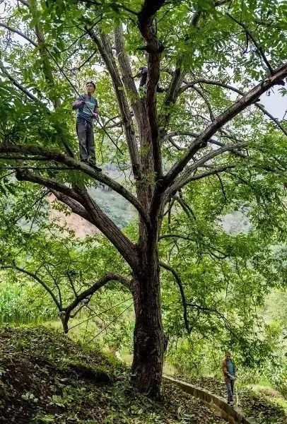 宾川哪个省_宾川县属于哪个省_宾川是县还是市