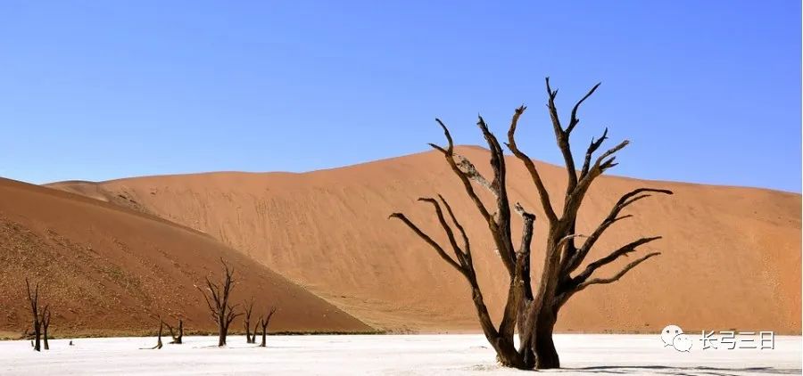 免费网赚项目_网赚项目团购_网赚项目渠道哪里找 免费网赚项目_网赚项目团购_网赚项目渠道哪里找