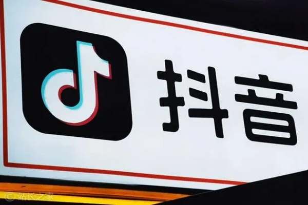 抖音变现逆袭课：从0到1打造IP，精准定位+高效起号，收入倍增