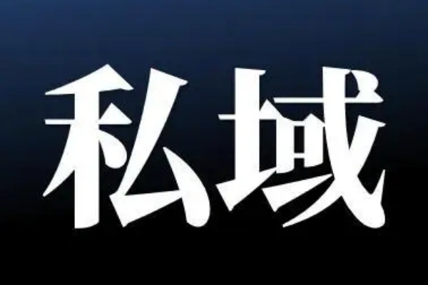 私域操盘手带你做私域