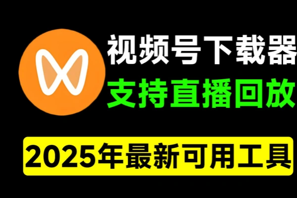 2025最新视频号下载器支持直播回放下载一键下载为MP4格式