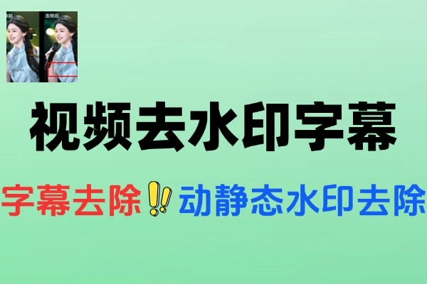本地Ai离线视频去水印字幕支持字幕去除动静态水印去除