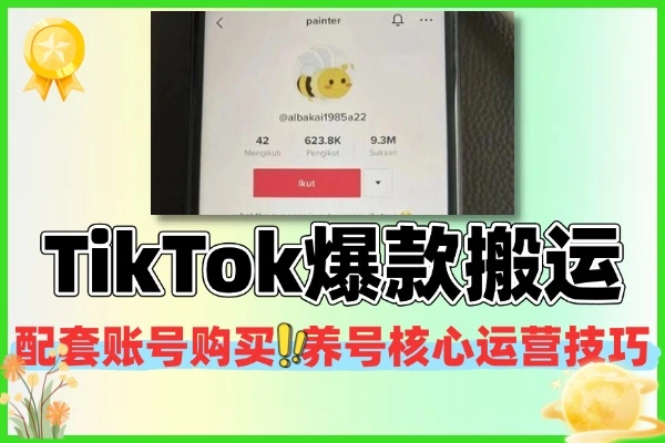 TikTok爆款搬运打通全球流量变现通道