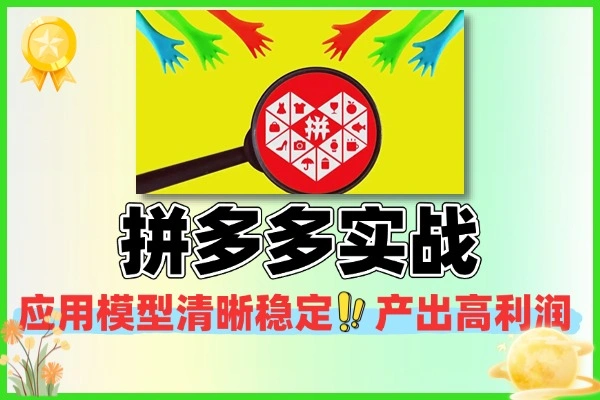 拼多多实战灵活应用模型清晰稳定产出高利润